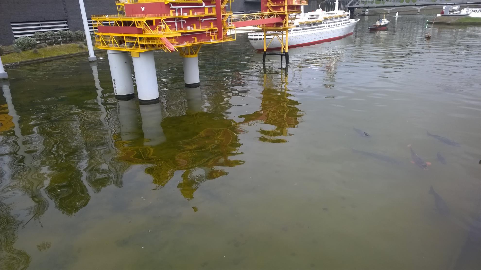 Crapi mutanti - wp20141029212.jpg